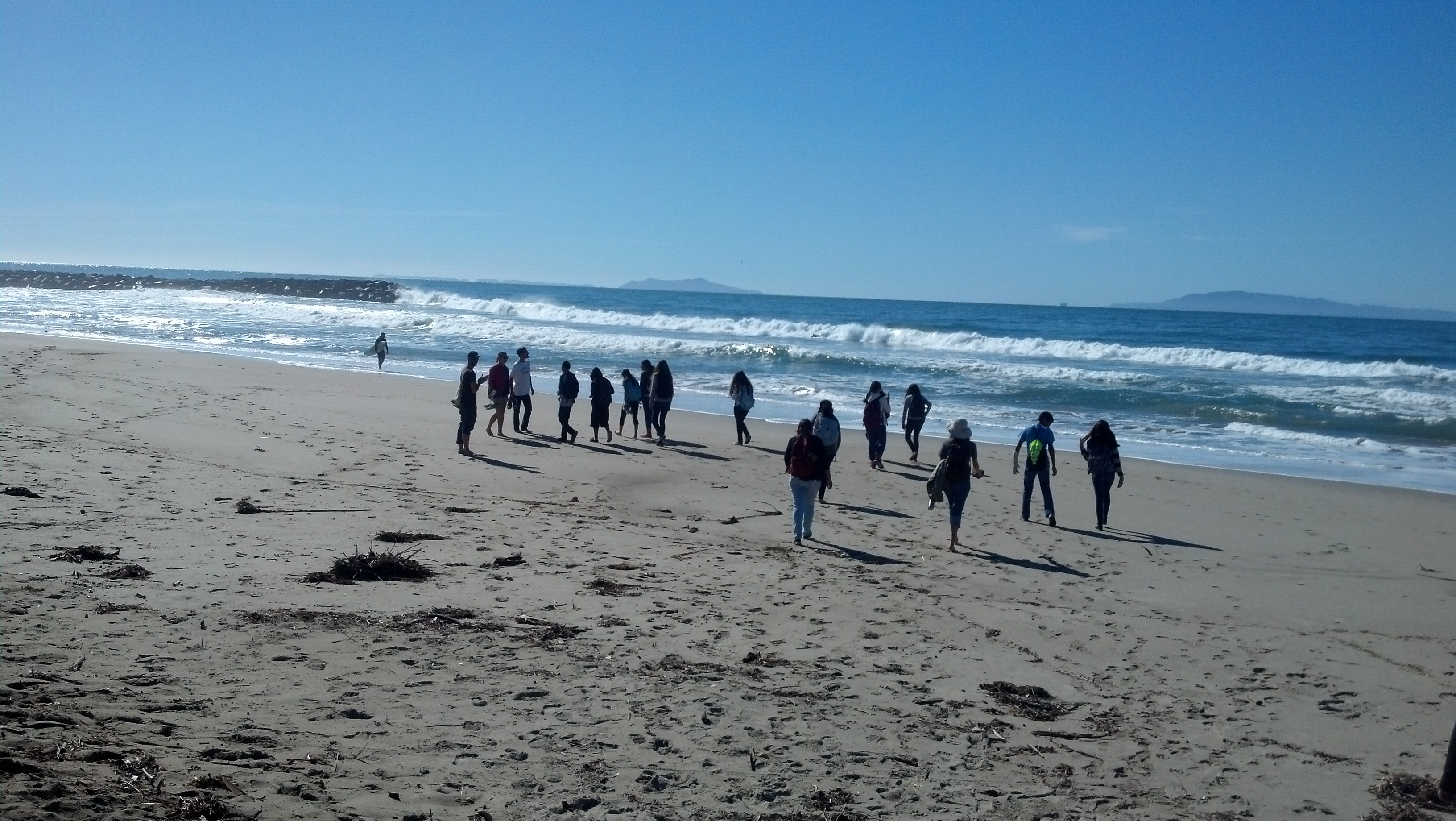 The Students Conducting Sandy Beach Monitoring
