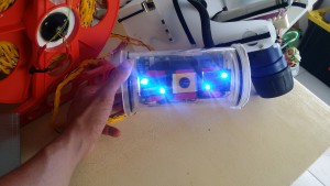 Modified main ROV lights to emit blue light.